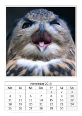 November_Uhu.pdf